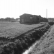 cofra costruzione casa